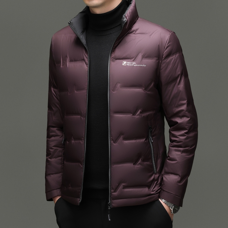 Winter Clothing Trends 2026 - Winter Down Jacket 2026 Light Luxury