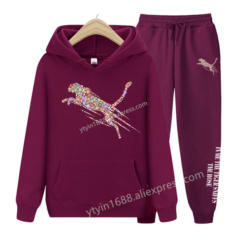 Womens TrackSuit  Aesthetic Sw - đánh giá và giá Fleece Hoodie Lined